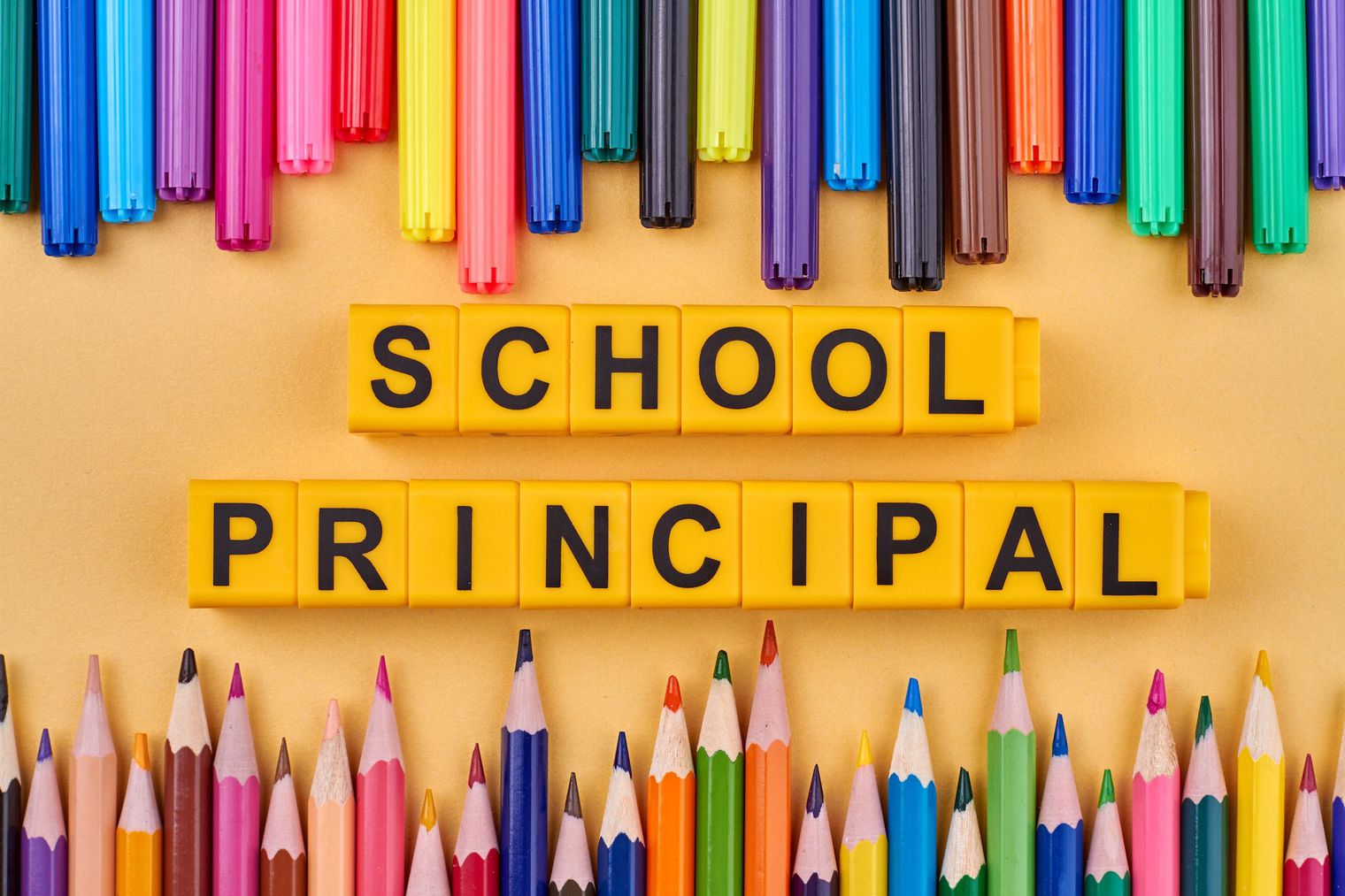 two rows of colored pencils and the words School Principal between them